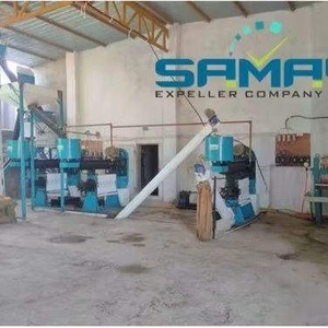 Machine d'extraction automatique d'huile d'arachide, capacité de 4 tonnes par jour, Samay Expeller Company, appareil d'extraction commercial, neuf uniquement - Product Image 6