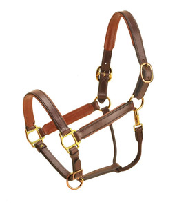 Licol en cuir robuste fait main avec ferrures en laiton argenté, réglable, pour l'équitation, l'entraînement et le toilettage en écurie - Product Image 3