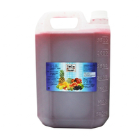 Sirop de fruit du dragon concentré – Base de jus pour thé aux fruits, smoothies, cocktails, boissons tropicales – Fournitures pour cafés, restaurants et bars