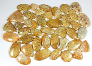 Cabochon de corail fossile naturel mélange de pierres précieuses en vrac forme et taille semi-précieuse pierre précieuse de quartz de guérison lot de gros - Product Image 2