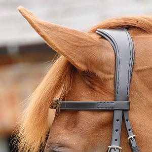 Nuevo equipo de cuero inglés más vendido, caballo de cuero puro para Hunter, brida para nariz para uso de equitación, Horsekraft - Product Image 3