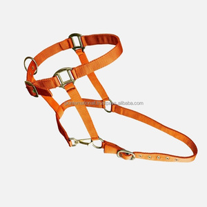 Ensemble de laisse et collier pour cheval en nylon coloré et réglable avec accessoires en or rose, laisse et collier assortis - Product Image 1