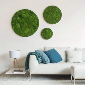 Decorazione Paesaggistica per Interni ed Esterni, Rocce Verdi, Sfere di Muschio Artificiale Fatte a Mano, Muschio Eterno Ecologico Preservato per Pareti - Product Image 4