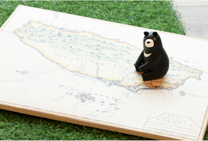 ของขวัญแปลกใหม่ดีไซน์ไม่เหมือนใคร-หมีดำตกแต่งบ้านสำหรับงานแต่งงานพิธีจบการศึกษาปีใหม่กลับไปโรงเรียนดิวาลิส - Product Image 6