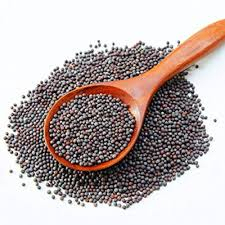 Graines de moutarde de qualité supérieure en gros, export en vrac, qualité alimentaire, stock disponible, meilleure qualité, approvisionnement - Product Image 6
