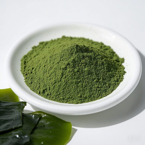 Extracto de Algas Marinas de Grado Industrial para Formulaciones en Mezcla, Extracto de Algas Marinas en Polvo Premium para Nutrición de Cultivos - Product Image 3