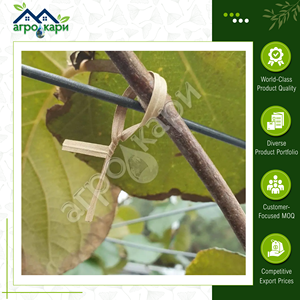 Ataduras de Papel Biodegradables y Ecológicas de 30 cm, 1000 Unidades, para Agricultura, Hogar, Jardinería, Tomates, Pepinos, Plantas - Product Image 4