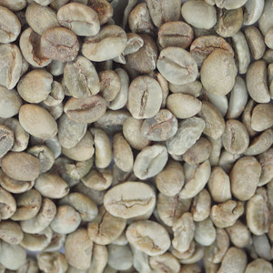 เมล็ดกาแฟโรบัสต้าคุณภาพส่งออก คั่วเข้มได้ รสชาติเข้มข้น พร้อมจำหน่ายจำนวนมาก - Product Image 4