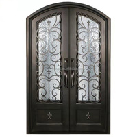 Portes doubles en métal forgé fabriquées à la main Entrée en verre en fer forgé avec design artistique étanche pour les salles de séjour des villas