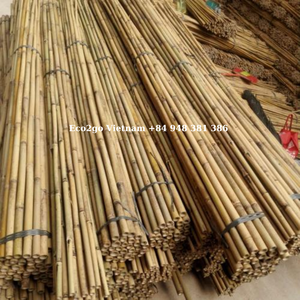 Los bastones de estaca de bambú y la estaca de bambú natural se pueden pintar con color personalizado Dependiendo del propósito de uso de Eco2go Vietnam - Product Image 3