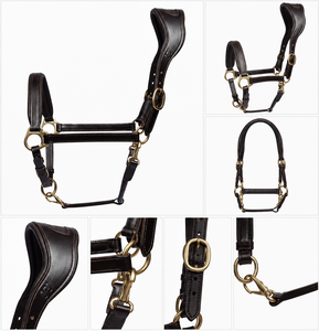 Harnais en cuir pour chevaux, équipement équestre professionnel en gros de Divine International Uttar Pradesh - Product Image 3