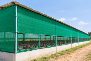 ตาข่ายบังแดด HDPE สีเขียวสำหรับฟาร์มสัตว์ปีก ตาข่ายบังแดด HDPE ป้องกันรังสียูวีสำหรับฟาร์มสัตว์ปีก แบบอัดรีด - Product Image 6