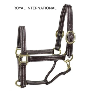 Harnais de cheval réglable en cuir véritable de qualité supérieure Royal International avec boucles en laiton, robuste, pour l'équitation et l'entraînement en écurie - Product Image 2