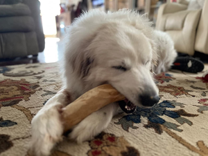 Bâton à mâcher en bois de café de haute qualité, durable, pour chien, branche naturelle pour l'hygiène dentaire, soulagement du stress, jouet pour grand chien - Product Image 4