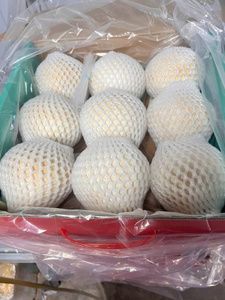 มะพร้าวขัดเงาทั้งลูก Coco fresco pulido Coco fresco polido สำหรับผู้ซื้อ (WA +84914319488) - Product Image 4