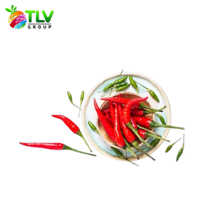 Servicio de Procesamiento ODM de Hierbas Frescas al por Mayor: Albahaca Individual, Especia del Grupo TLV, Ben Tre, Vietnam - Product Image 5