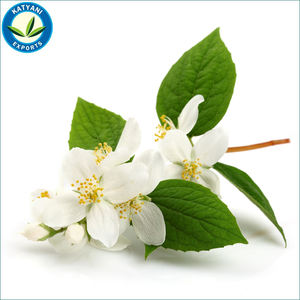 Fabricante Más vendido 100% Calidad superior de aceite Aceite esencial de jazmín puro y natural Aceite de grado superior para usos cosméticos - Product Image 5