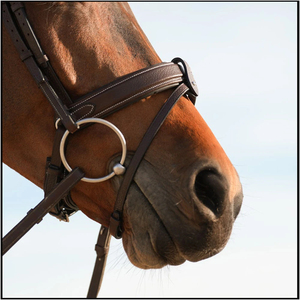Handcrafted Leather English Style Horse Bridle with Adjustable Straps 2x3x2m Size for Riding Factory Made Model SULEMAN 0016 - Product Image 4