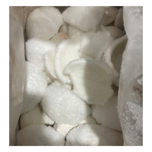 Exportateur de chair de noix de coco surgelée du Vietnam – Chair de noix de coco IQF de qualité supérieure avec un contrôle qualité excellent - Product Image 1