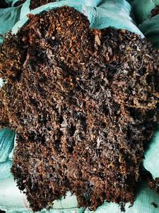 Sargassum Seco, Alga Marina Sazonada, Orgánica, Hojas Grandes Secas de Vietnam - Bolsa de 25 kg, Mejor Precio / Sra. Lima - Product Image 5