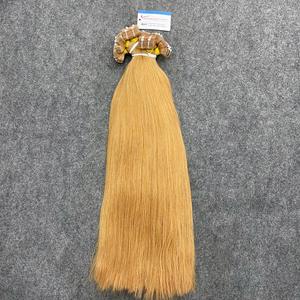 Extensions de cheveux naturels lisses à bandes adhésives, diverses couleurs, extensions de cheveux humains vietnamiens tendance - Product Image 3