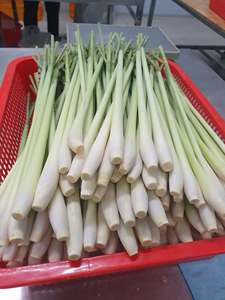Tiges de citronnelle surgelées IQF de qualité supérieure, qualité alimentaire naturelle, fournisseur du Vietnam - Product Image 3