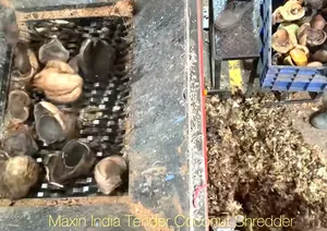 Trituradora de Coco Tierno de Doble Eje Eléctrica Semiautomática de la Mejor Calidad, Máquina Trituradora Orgánica - Product Image 6