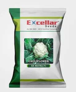 เมล็ดกะหล่ำดอกเกรดพรีเมียมสำหรับการเกษตร - ให้ผลผลิตสูง ทนโรค คุณภาพส่งออก - Product Image 4