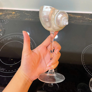 เปลือกหอยทะเลสีขาว Sea Glow White Turbo Shell Glass งานแฮนด์เมดจากเปลือกหอยธรรมชาติ สำหรับตกแต่งบาร์ โรงแรม ร้านอาหาร ราคาขายส่งที่ดีที่สุด - Product Image 3