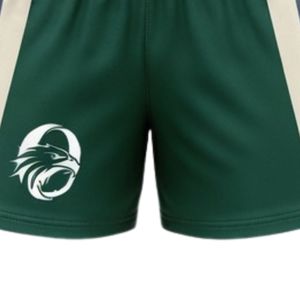 Ensemble short et maillot de netball sublimé vert foncé et blanc pour homme, en polyester, tenue de sport athlétique avec panneau latéral rayé, vêtements de match - Product Image 6