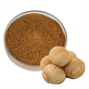 Polvo de Melena de León Premium 10:1, Extracto Puro y Natural de Hericium Erinaceus para Apoyo Natural al Bienestar Cognitivo - Product Image 4