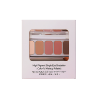 Palette de fards à paupières haute pigmentation - Logo personnalisé - Palette de maquillage colorée pour carnations moyennes