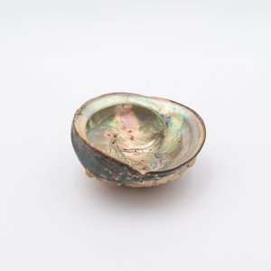 Decorative <b>abalone</b> <b>shell</b> sage burning seashell <b>abalones</b> competitive price natural seashells - Product Image 4