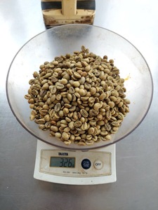 เมล็ดกาแฟโรบัสต้าคุณภาพสูง PHALCO เกรด 1 ขนาดกรอง 16/18 จากเวียดนาม ราคาดีที่สุด พร้อมส่งออก บรรจุในถุงกระสอบ - Product Image 1