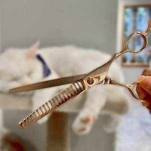 Ensemble de ciseaux de toilettage pour chiens en acier inoxydable de 7 ''Kit de coiffure pour animaux de compagnie alimenté par la Charge pour chats emballage en vrac toilettage pour animaux de compagnie de qualité supérieure - Product Image 1