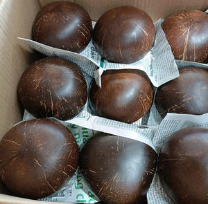Venta caliente de cuencos de coco ecológicos cuencos de cáscara de coco caliente precio barato cuencos de coco en Vietnam para el mercado de Alemania - Product Image 1