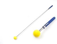 Bâton de dressage télescopique pour chien, outil d'agilité rétractable 76 cm, aide au dressage de chiot avec clicker