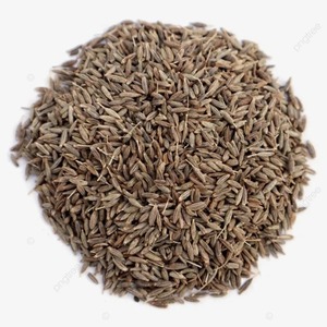 เมล็ดยี่หร่าออร์แกนิก-ราคาขายส่ง พร้อมใช้จากอินเดีย - Product Image 4