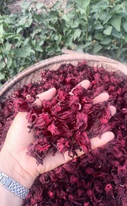 Té de Hibisco de Hojas Sueltas, Flores Secas Orgánicas a Granel, Té Saludable, Té Floreciente, ALTA DEMANDA - Product Image 5