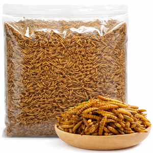 Larvas de Mosca Soldado Negra Altas en Proteínas, Secas y Desgrasadas |   Suministro al por Mayor |   OEM Disponible/ MS. ALINA - Product Image 4