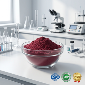 Premium Quality Beetroot Powder Natural Food Grade Bulk Wholesale Supplier Manufacturer and Exporter from India - Product Image 4