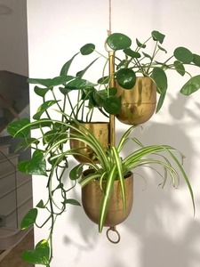 Macetas Decorativas Modernas y Ecológicas de Hierro Resistente con Acabado de Recubrimiento en Polvo, Macetas Personalizadas al por Mayor para el Hogar y el Jardín - Product Image 6