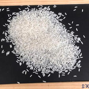 Riz brisé 100% Vietnam, nouvelle récolte, vente en gros, export direct, incluant des variétés de riz dur blanc et de riz gluant à grains longs - Product Image 5