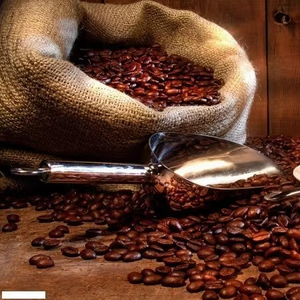 กาแฟอาราบิก้าคั่วบดพิเศษจากเวียดนาม USDA คุณภาพสูง ความเสียหายต่ำ 0.1% จากธรรมชาติ 100% ส่งออกจากโรงงานโดยตรง - Product Image 1