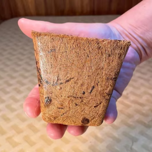 Pot en fibre de coco biodégradable pour la germination des graines et la culture des plantes - Product Image 5