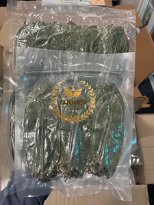 ทุเรียนเทศออร์แกนิกทั้งใบสีเขียวใบใบกริโอลาสำหรับชงชาเพื่อสุขภาพจาก takimex เวียดนาม - Product Image 4