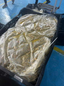 Export Quality IQF Frozen Passion Fruit Seeds and <b>Pulp</b> Vietnam – Best Supplier for Beverage, Dessert, Bakery and Food Industry - Product Image 3