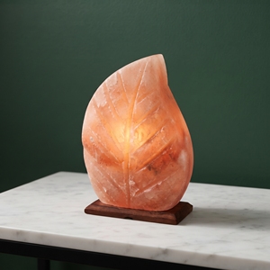 Lámpara de Sal del Himalaya con Forma de Hoja, Cristal de Roca Natural, Iluminación Decorativa para Mesa, Adorno para Dormitorio y Hogar - Product Image 4