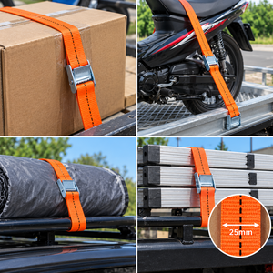 Sangle d'arrimage à boucle à came haute résistance 25 mm, crochet en polyester 250 kg pour transport de marchandises, fournisseur OEM - Product Image 2