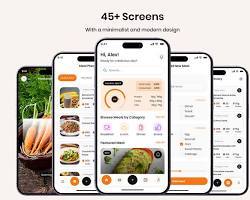 Aplicación Móvil Wise Hustlers para Suscripción a Comidas, Planes de Comidas Saludables para MAC, Programación de Entregas y Gestión de Pedidos Diarios de Alimentos - Product Image 2